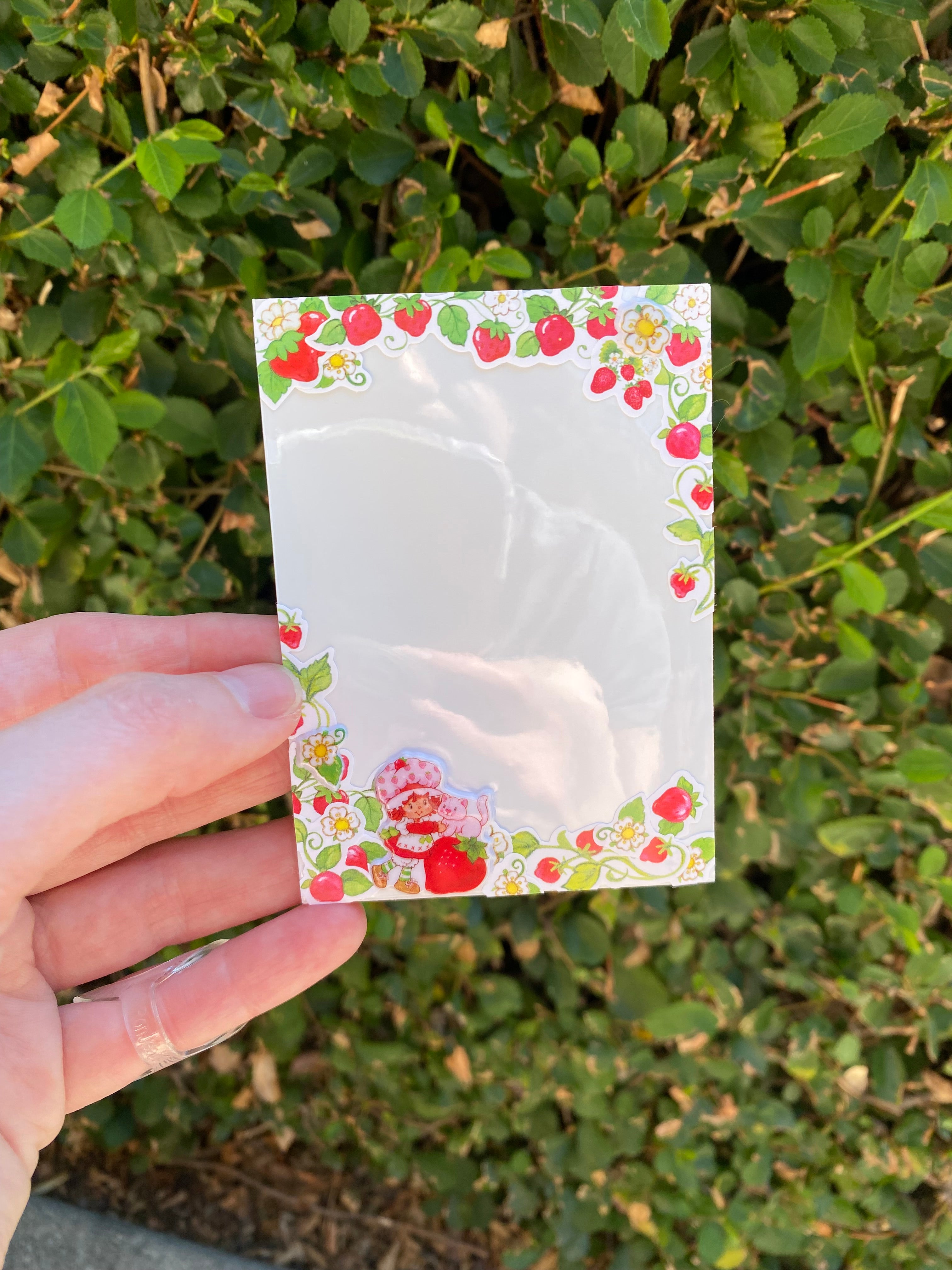 Strawberry Shortcake Card Sleeve